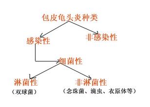 海南射精带血是什么办